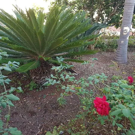 View Gardens Ii شقة فونشال